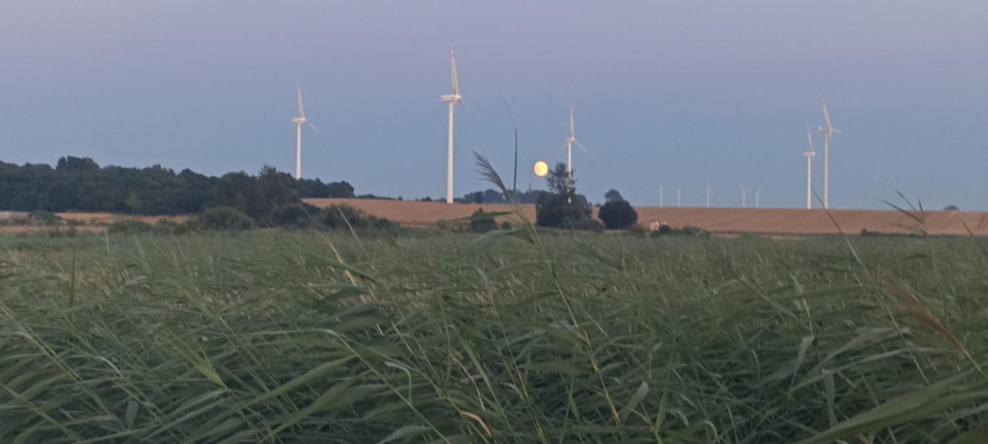 Domki Alfa Kopań Exteriér fotografie